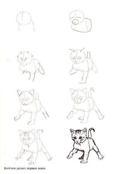 ​Учимся рисовать с детьми кошек больших и маленьких