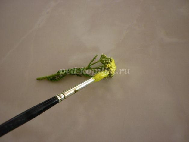 Поле одуванчиков Поле одуванчиков