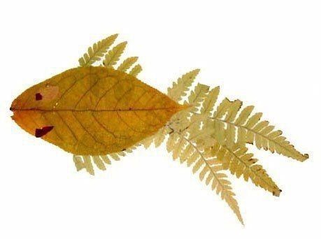 ​Рыбки из листьев: идеи для детского творчества