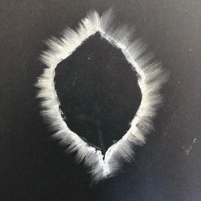 Рисуем листья мелом Рисуем листья мелом