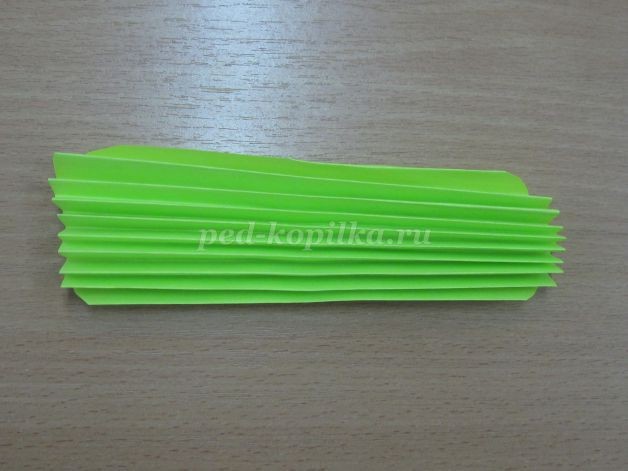 Бабочка и стрекоза среди весенних цветочков: часть 1