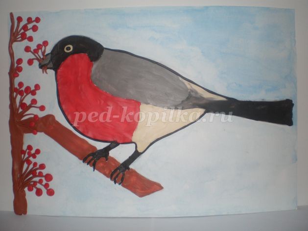 Пластилинография "Снегирь зимой": часть 2