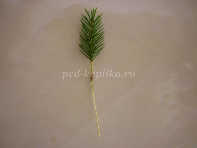 Поле одуванчиков Поле одуванчиков