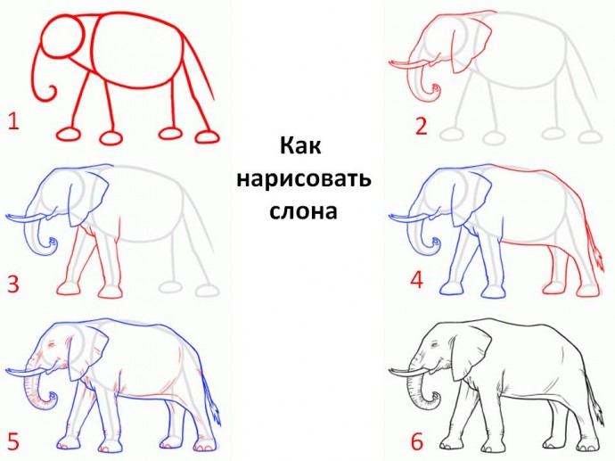Рисуем слона