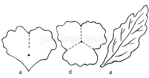 Анютины глазки