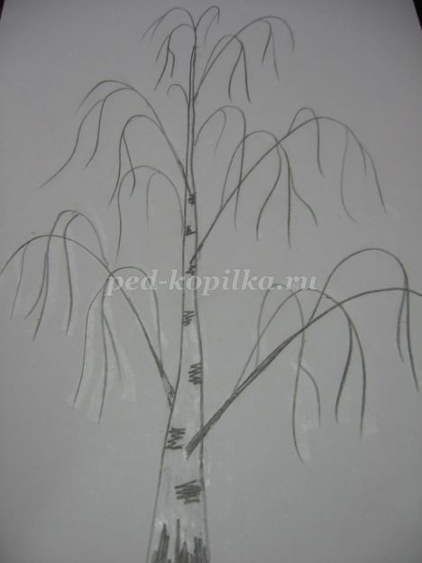 ​Белая берёза под моим окном