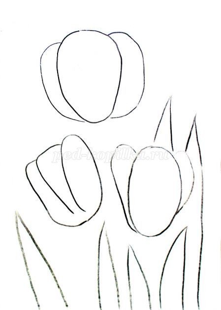 Как нарисовать тюльпаны гуашью: часть 1