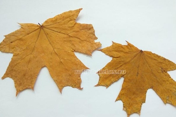 Аппликация из осенних листьев "Лисята"