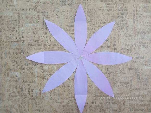 Цветок космеи: часть 1 Цветок космеи: часть 1