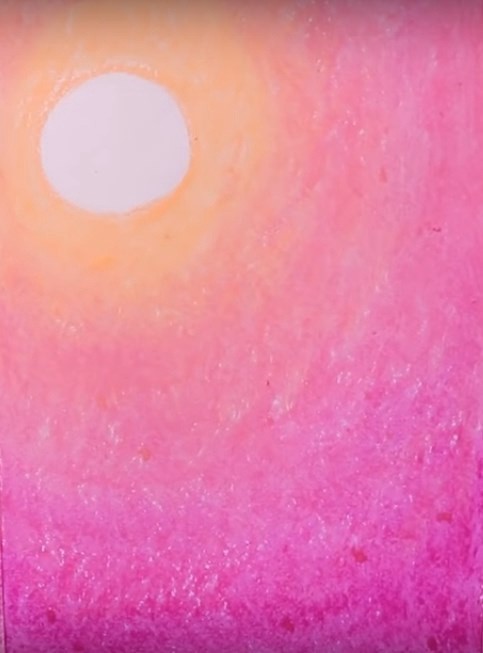 Птичка на цветущей веточке Птичка на цветущей веточке