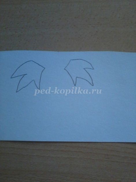 Совушка-сова из крылатки клёна: часть 3 Совушка-сова из крылатки клёна: часть 3