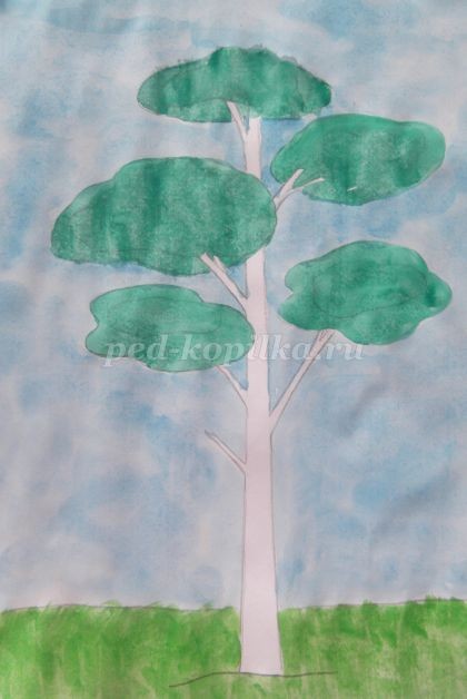 Рисование сосны в технике акварель