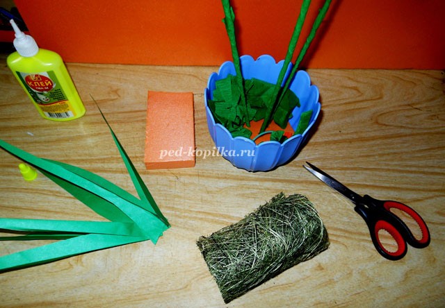 Цветущий амариллис Цветущий амариллис