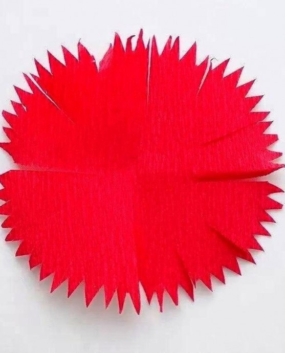 Красная гвоздика Красная гвоздика