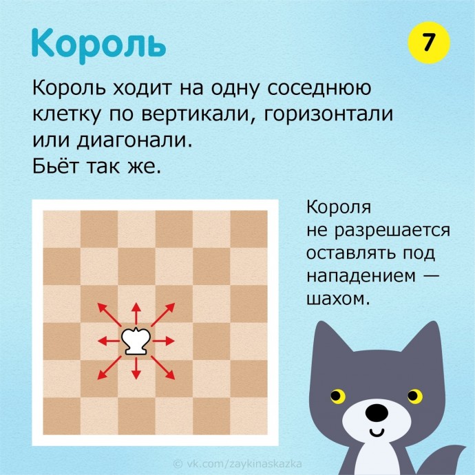 Правила игры в шахматы для детей за 15 минут Правила игры в шахматы для детей за 15 минут