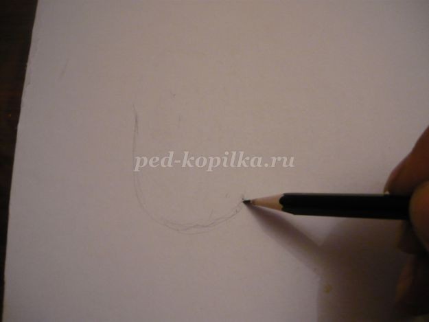 Аппликация "Овечка" из природного материала: часть 1