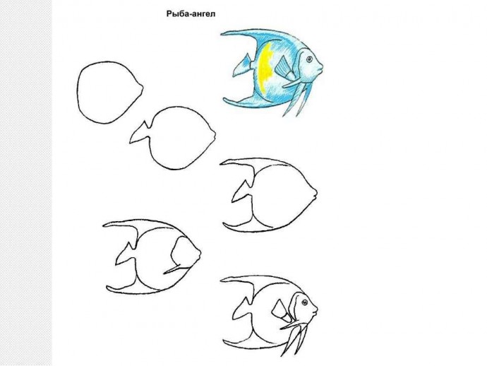 Как нарисовать красивую рыбку