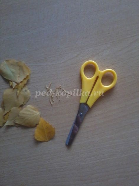 ​Совушка-сова из крылатки клёна: часть 2