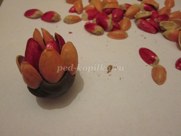 Топиарий из природного материала для детского сада: часть 1