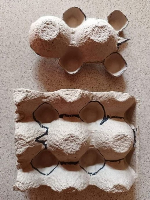 ​Идеи поделок из яичных лотков