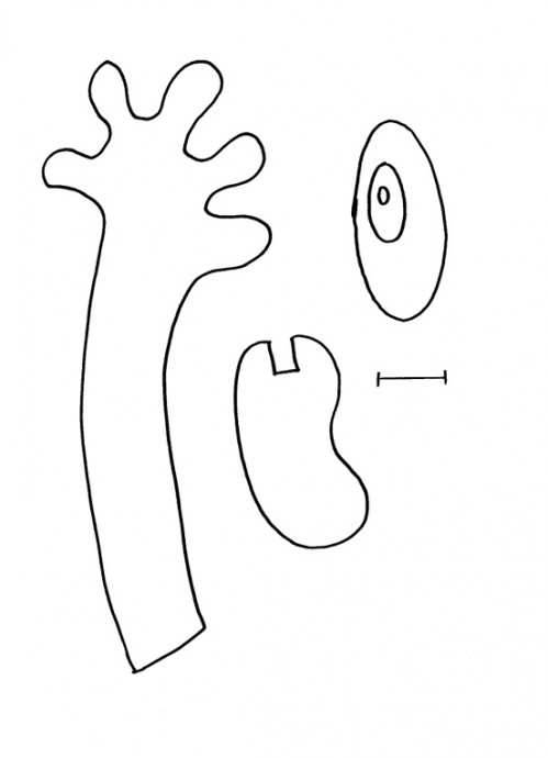 Забавное привидение из одноразовой картонной тарелки и бумажного полотенца Забавное привидение из одноразовой картонной тарелки и бумажного полотенца