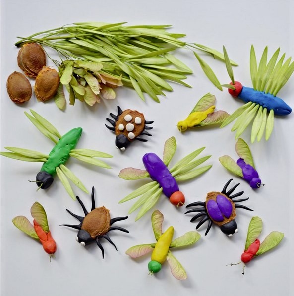 Насекомые из пластилина и природного материала: идеи для детского творчества