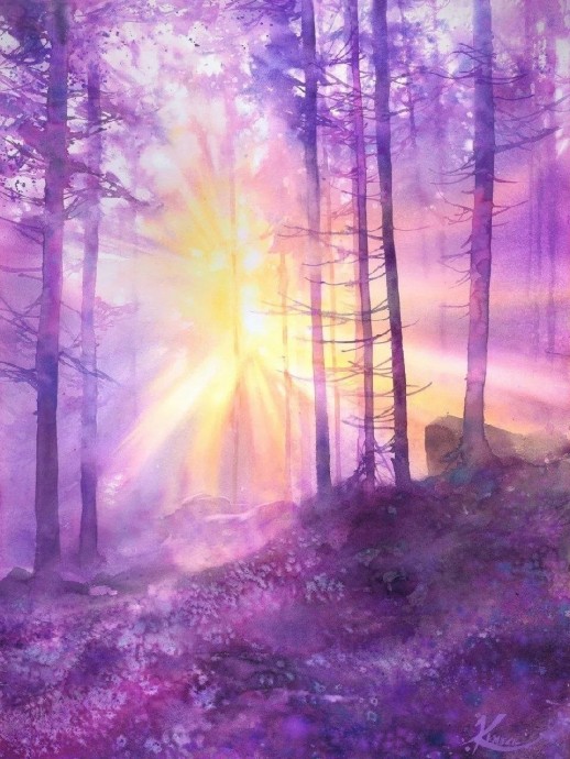 Рассвет в лесу Рассвет в лесу