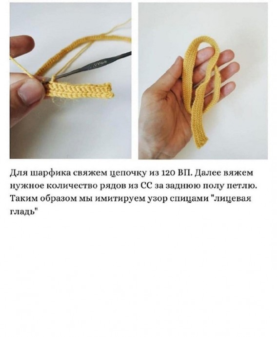 Тюлень Лори