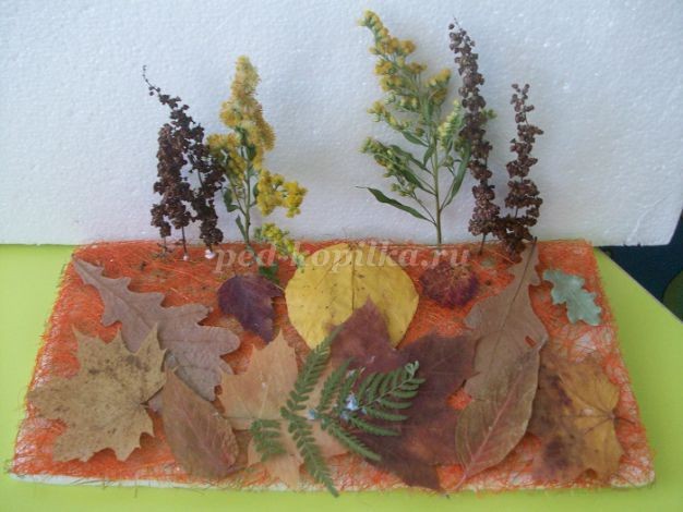 Настольная композиция из природного материала детскими руками: мастер-класс, часть 4