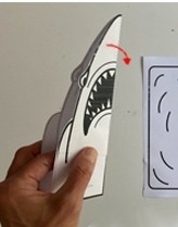 ​Объёмная акула