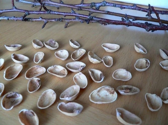 Весенние веточки вербы Весенние веточки вербы