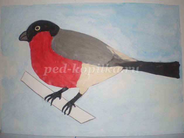 Пластилинография "Снегирь зимой": часть 2