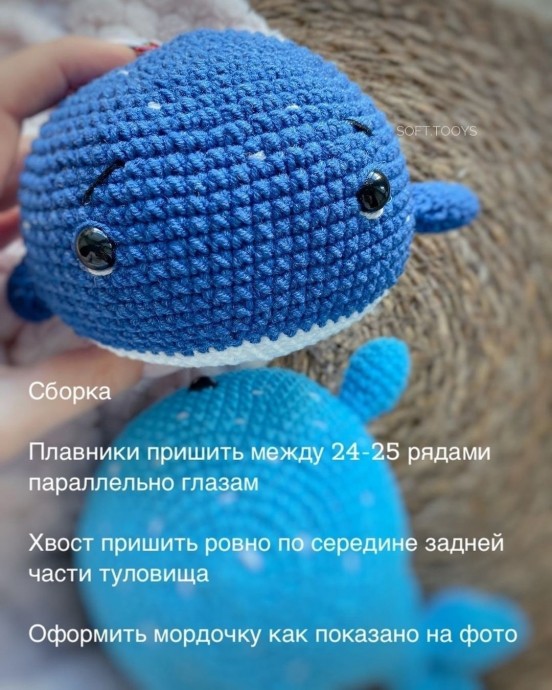 Голубой китёнок Голубой китёнок