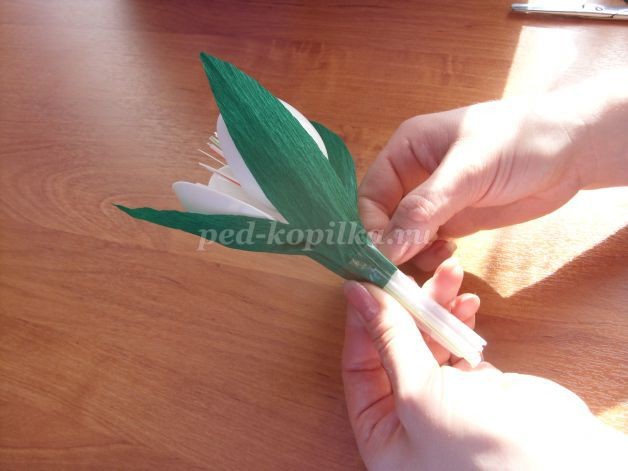 Подснежники из одноразовых ложек: часть 2