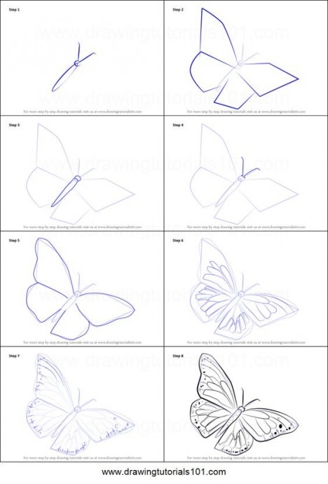 Учимся рисовать с детьми бабочек