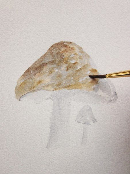 Акварельные грибы