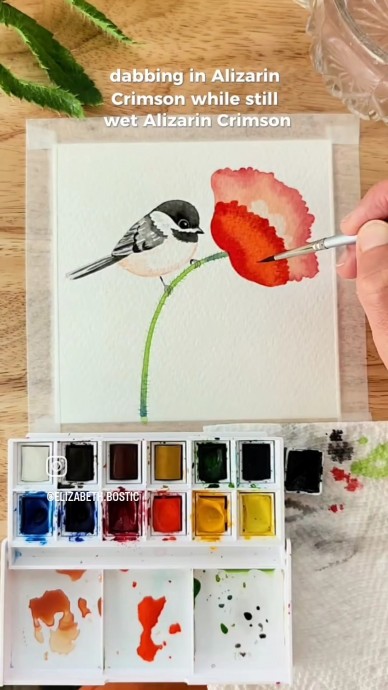 Птичка на маке