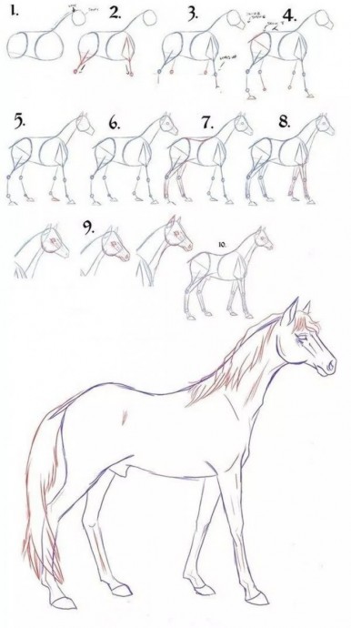 ​Как нарисовать лошадку