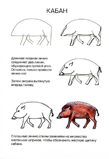 Рисуем животных