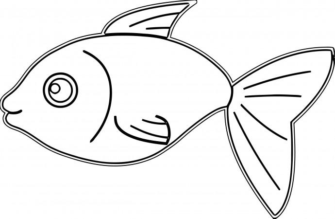 Рыбы-подушки в миниатюрном размере