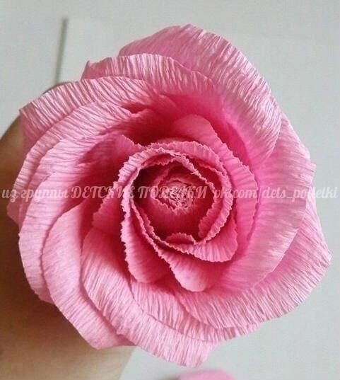 Прекрасные розы Прекрасные розы