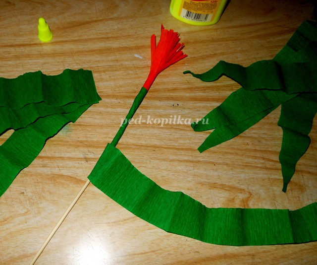 Цветущий амариллис Цветущий амариллис