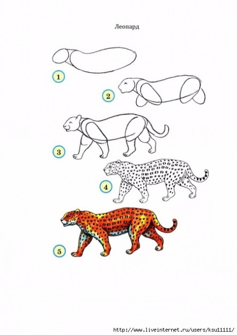 Уроки рисования: животные