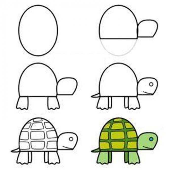 ​Рисуем с детьми черепаху