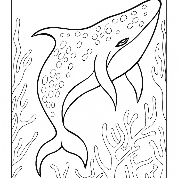 ​Рисуем с детьми китовую акулу