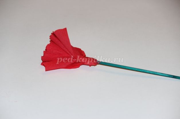 ​Розы из гофрированной бумаги: часть 2