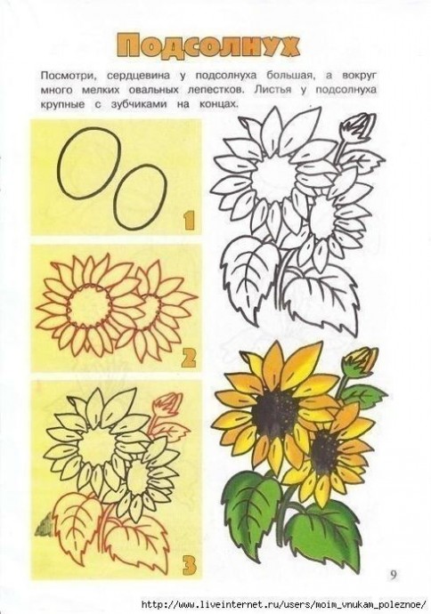 Учим детей рисовать цветы