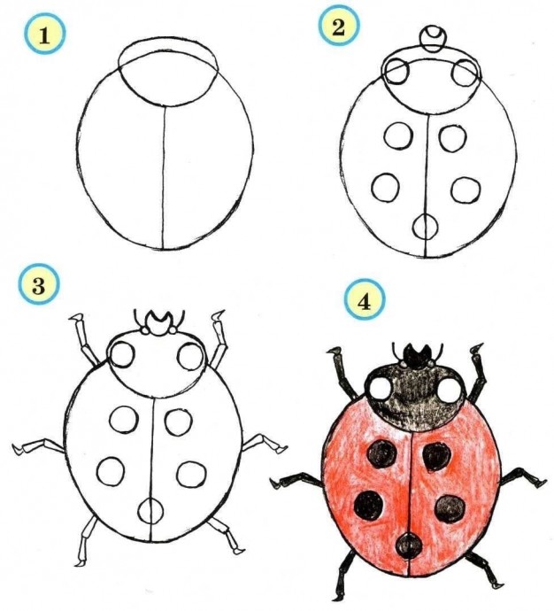 Рисуем насекомых