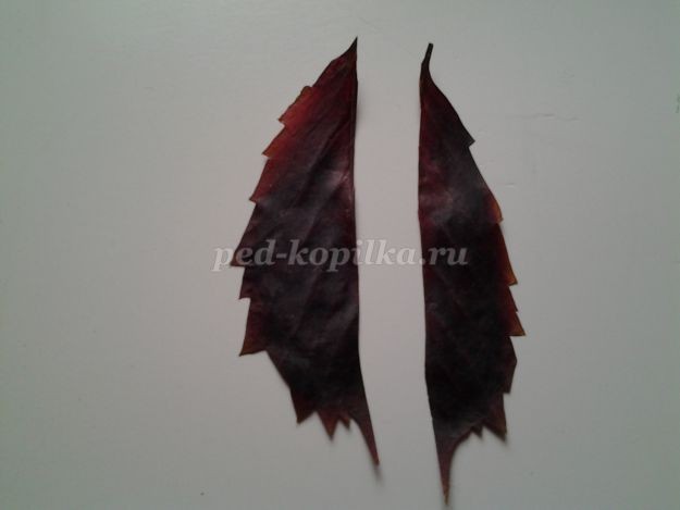 Аппликация из листьев: кораблик Аппликация из листьев: кораблик