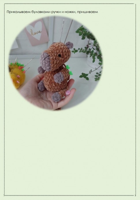 ​Малыш Капибара